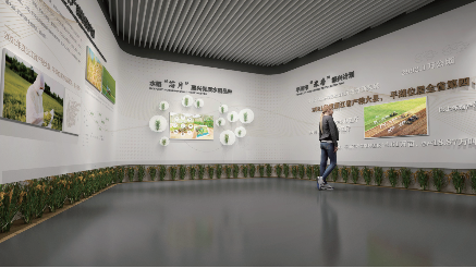 平湖金平湖稻米展厅